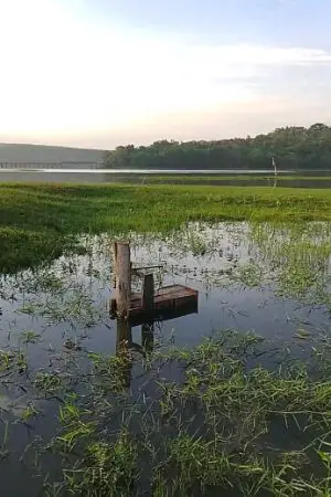 ปกนิยาย พรายแม่น้ำเจ้าพระยา