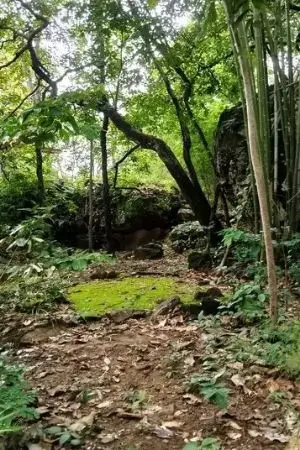 ปกนิยาย จงอางหวงไข่