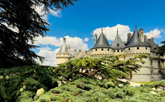 Photo by Bret Lama on Unsplash