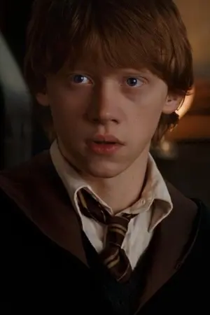 ปกนิยาย The Weasley I Should Hate