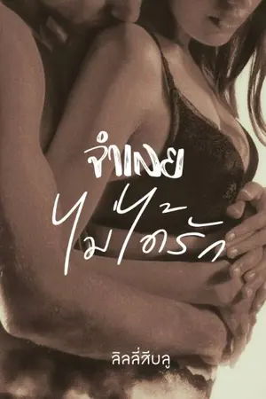 ปกนิยาย จำเลยไม่ได้รัก