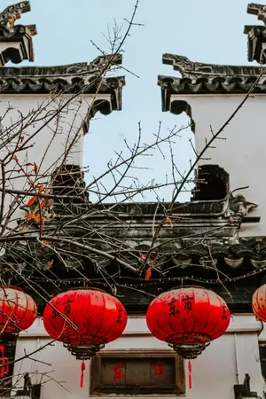 ปกนิยาย ภรรยาใบ้ของหลี่เหวินหลง MPREG