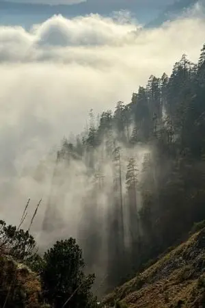 ปกนิยาย ผู้กล้ากับดินแดนที่ล่มสลาย