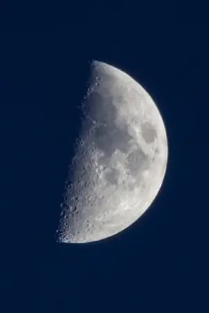 ปกนิยาย fic รางวัลโนเบลตูอยู่ไหน