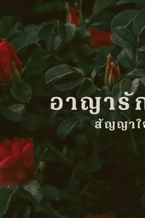 ปกนิยาย อาญารักสัญญาใจ
