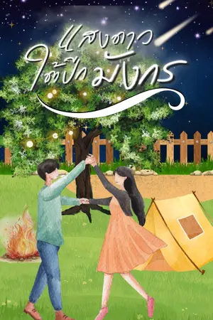 ปกนิยาย แสงดาวใต้ปีกมังกร