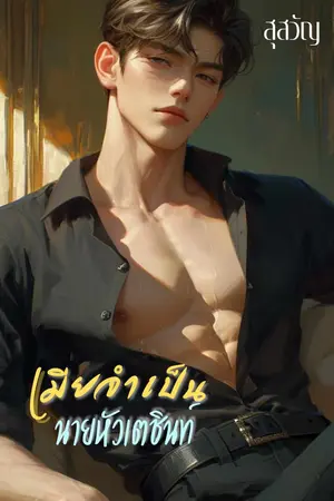 ปกนิยาย เมียจำเป็นนายหัวเตชินท์