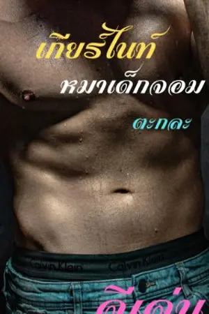 ปกนิยาย