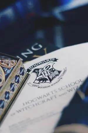 ปกนิยาย ไดอารี่ลับ[Harry Potter]
