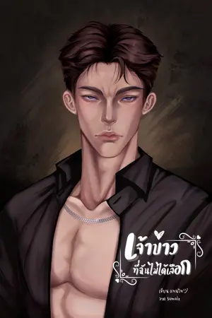 ปกนิยาย เจ้าบ่าวที่ฉันไม่ได้เลือก