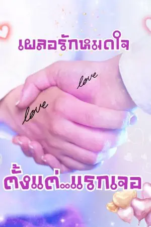 ปกนิยาย เผลอรักหมดใจ ตั้งแต่แรกเจอ