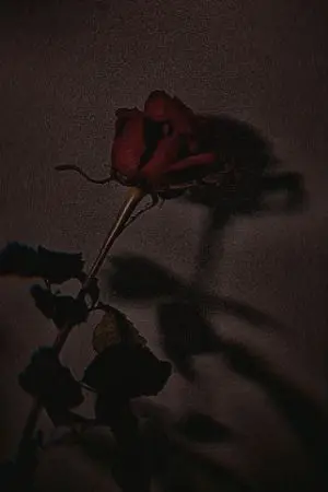 ปกนิยาย เกิดใหม่ครั้งนี้ รันต์จะไม่เอาสามีคนเดิม