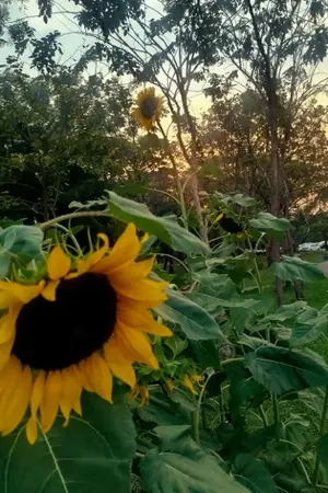 ปกนิยาย เพื่อน(ใครเพื่อนมึง)