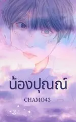 ปกนิยาย