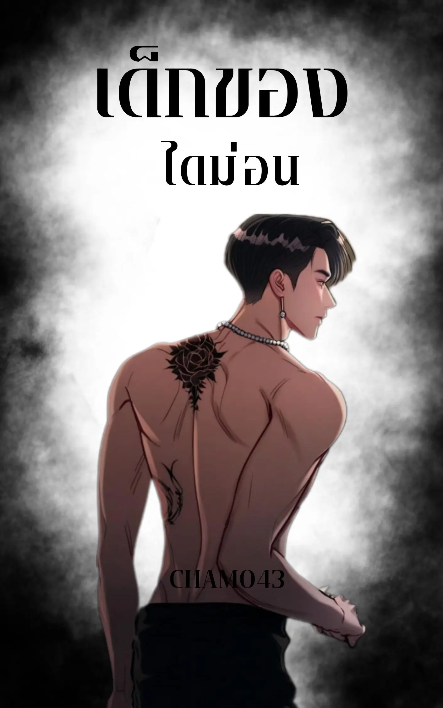 ปกนิยาย