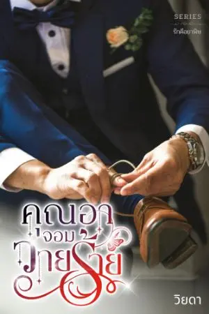ปกนิยาย คุณอาจอมวายร้าย