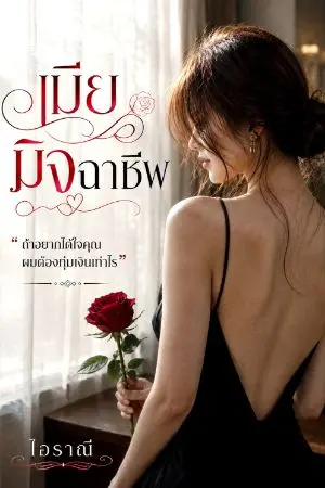 ปกนิยาย เมียมิจฉาชีพ