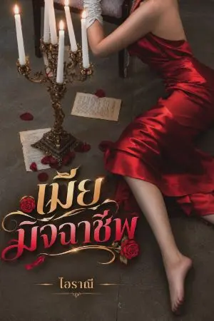 ปกนิยาย เมียมิจฉาชีพ