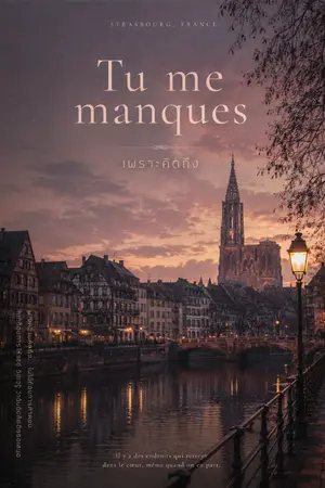 ปกนิยาย Tu me manques เพราะคิดถึง