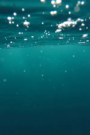 ปกนิยาย ลิขิตธารา