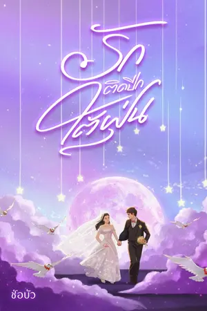 ปกนิยาย รักติดปีกไต้ฝุ่น