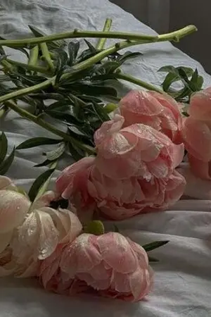 ปกนิยาย จงรัก จงปกครอง