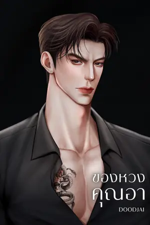 ปกนิยาย ของหวงคุณอา (มีE-book)