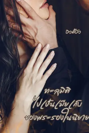 ปกนิยาย ทะลุมิติไปเป็นเมียเก็บของพระรองในนิยาย | มี E-book