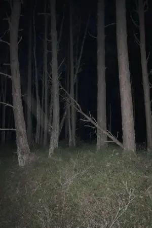 ปกนิยาย YOU ARE NOT LOST