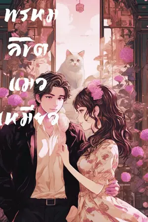 ปกนิยาย พรหมลิขิตแมวเหมียว