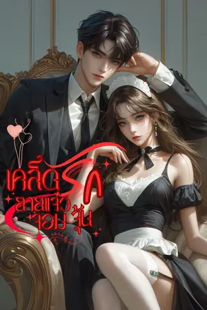 ปกนิยาย เคล็ดรักยายแจ๋วจอมยุ่ง