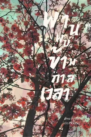 ปกนิยาย พานพบข้ามกาลเวลา girl love (มี E-Book)