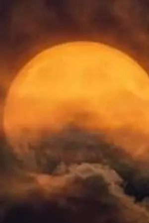 ปกนิยาย เพราะฉันเกิดวันเสาร์สินะ