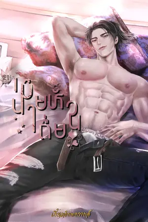 ปกนิยาย เมียนายหัวเถื่อน