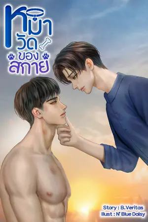 ปกนิยาย หมาวัดของสกาย