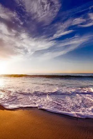 ปกนิยาย เกิดใหม่เป็นนางเงือกน้อย