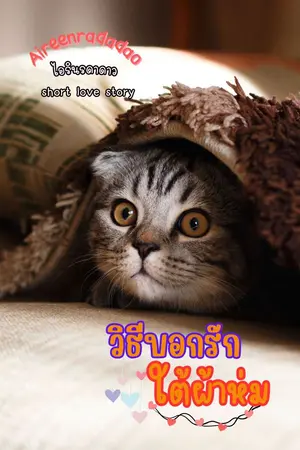 ปกนิยาย วิธีบอกรักใต้ผ้าห่ม