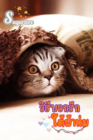 ปกนิยาย วิธีบอกรักใต้ผ้าห่ม (Story by Sugarlore)