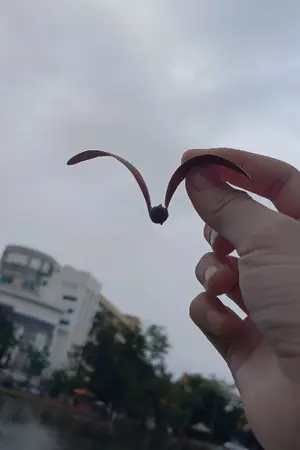 ปกนิยาย [Fic One Piece] Fire leads us (ASL+lawlu)