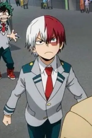 ปกนิยาย ✩แว่นแบบนี้ชอบมั้ยคะ✩ | Todoroki x oc