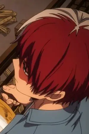 ปกนิยาย [BNHA/ MHA fanfic] 瞳に映る世界 | Todoroki x oc