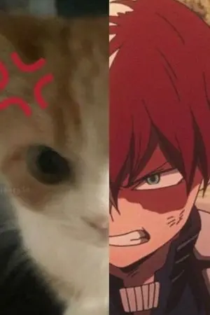 ปกนิยาย [MHA fanfic/BL,AU ABO] ยินดีที่ได้รู้จัก คนไม่มีชื่อ | Todoroki x oc
