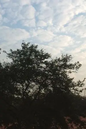 ปกนิยาย เหตุเกิดจากสวนสาธารณะ