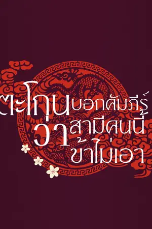 ปกนิยาย ตะโกนบอกคัมภีรืว่าสามีคนนี้ข้าไม่เอา