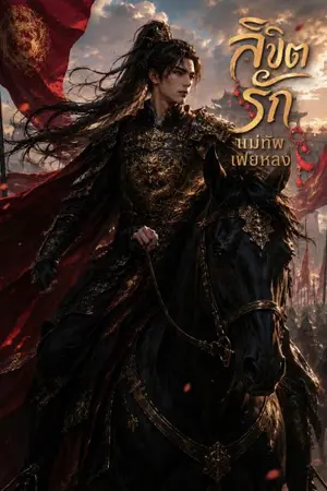 ปกนิยาย ลิขิตรัก แม่ทัพเฟยหลง