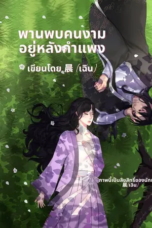 ปกนิยาย พานพบคนงามอยู่หลังกำแพง(美人)