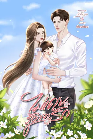 ปกนิยาย ไม่เคยรู้ว่าจะรัก : มี E-book