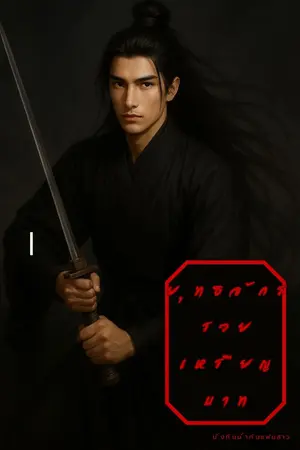 ปกนิยาย ยุทธจักรรวยเหรียญบาท