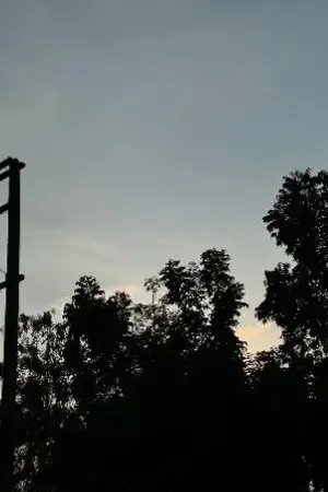 ปกนิยาย คืนวันดับ