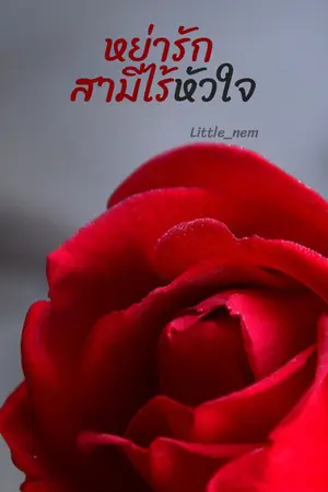 ปกนิยาย หย่ารัก​ สามีไร้หัวใจ